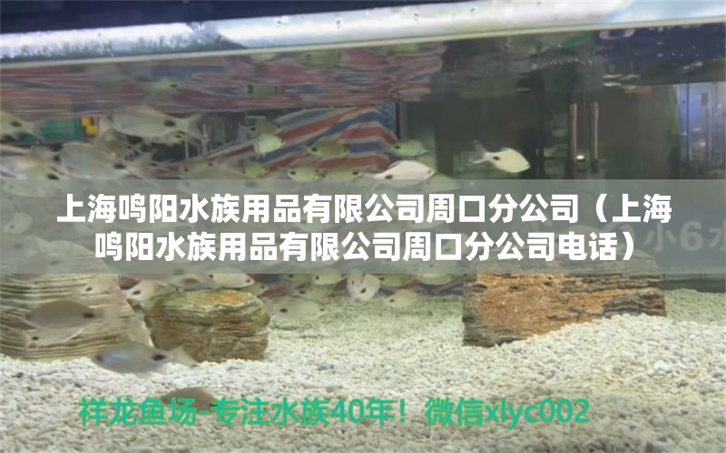 上海鳴陽水族用品有限公司周口分公司（上海鳴陽水族用品有限公司周口分公司電話） 水族用品