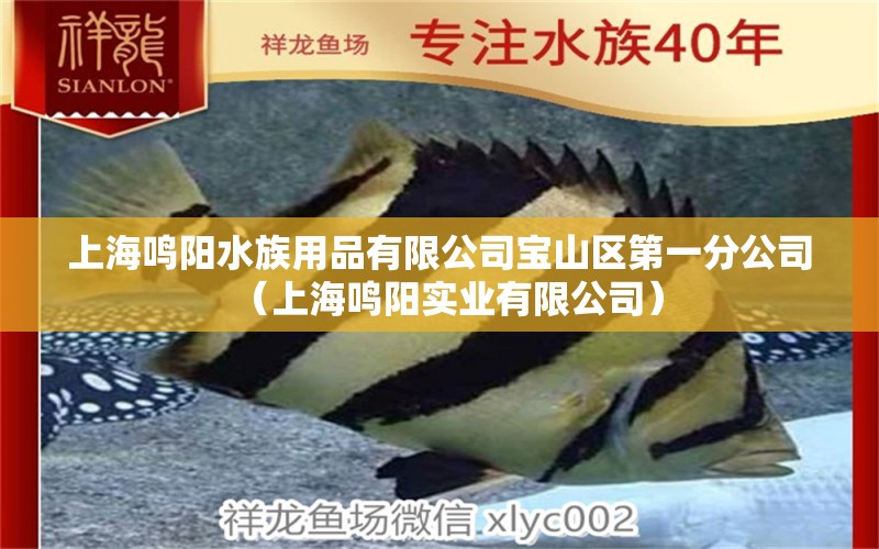 上海鳴陽水族用品有限公司寶山區(qū)第一分公司（上海鳴陽實(shí)業(yè)有限公司）