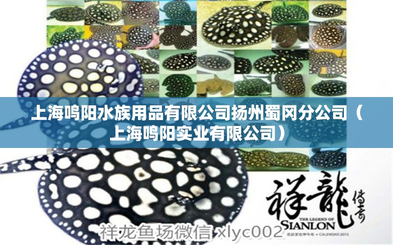 上海鳴陽水族用品有限公司揚(yáng)州蜀岡分公司（上海鳴陽實(shí)業(yè)有限公司）