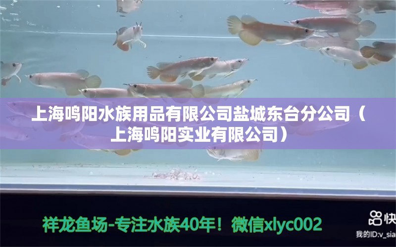 上海鳴陽水族用品有限公司鹽城東臺分公司（上海鳴陽實業(yè)有限公司） 水族用品