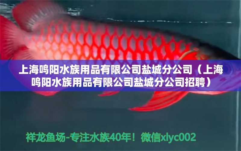 上海鳴陽(yáng)水族用品有限公司鹽城分公司（上海鳴陽(yáng)水族用品有限公司鹽城分公司招聘）