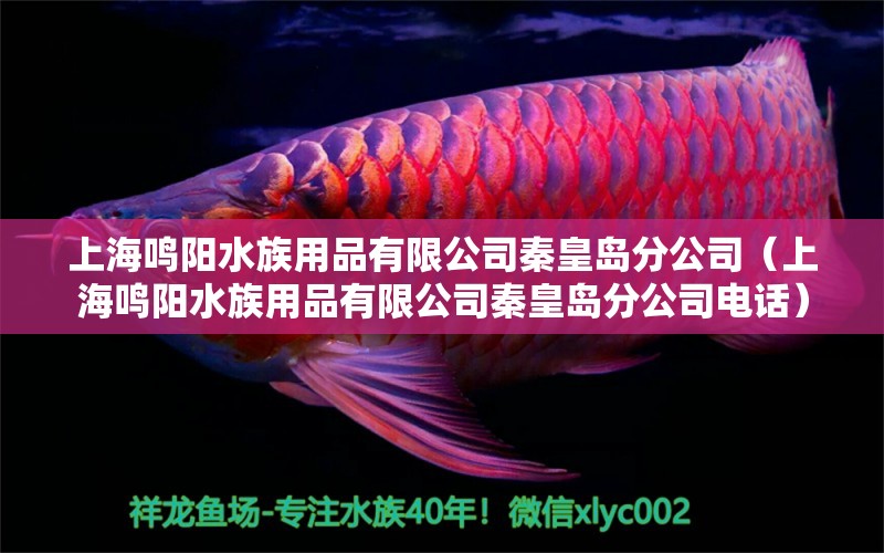 上海鳴陽水族用品有限公司秦皇島分公司（上海鳴陽水族用品有限公司秦皇島分公司電話） 水族用品