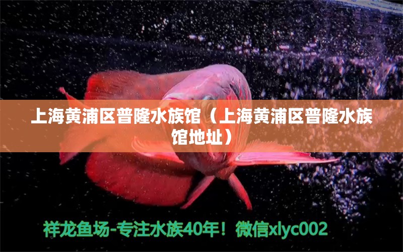 上海黃浦區(qū)普隆水族館（上海黃浦區(qū)普隆水族館地址）