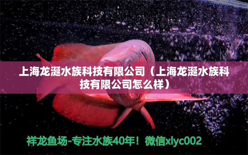 上海龍涎水族科技有限公司（上海龍涎水族科技有限公司怎么樣） 全國(guó)水族館企業(yè)名錄