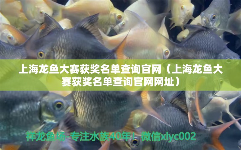 上海龍魚大賽獲獎(jiǎng)名單查詢官網(wǎng)（上海龍魚大賽獲獎(jiǎng)名單查詢官網(wǎng)網(wǎng)址）