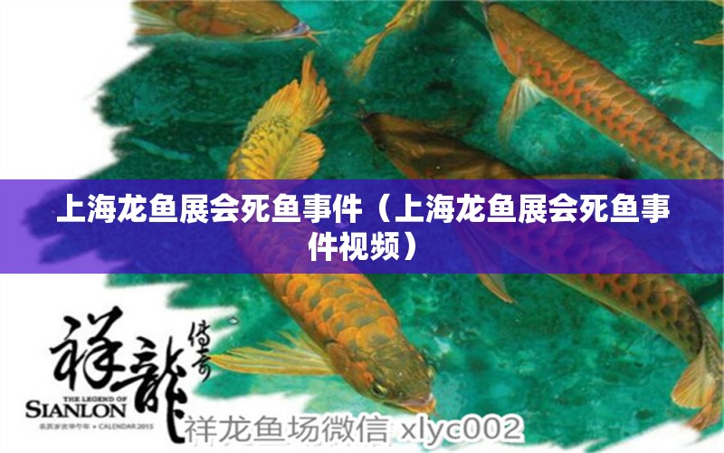 上海龍魚展會死魚事件（上海龍魚展會死魚事件視頻）