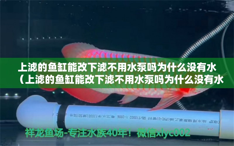 上濾的魚缸能改下濾不用水泵嗎為什么沒有水（上濾的魚缸能改下濾不用水泵嗎為什么沒有水了） 龍魚批發(fā)