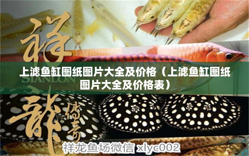 上濾魚(yú)缸圖紙圖片大全及價(jià)格（上濾魚(yú)缸圖紙圖片大全及價(jià)格表）