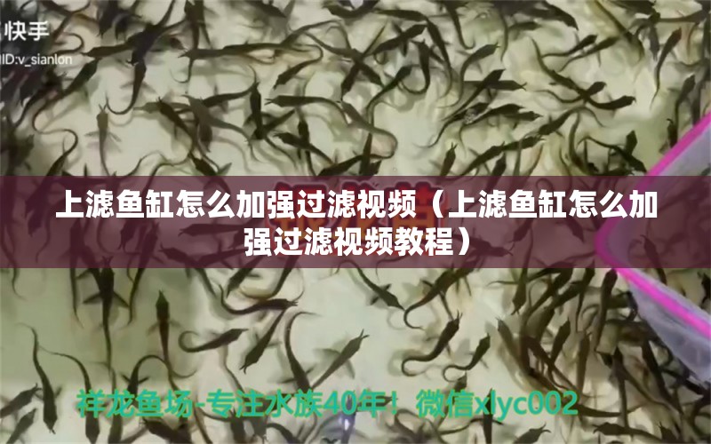 上濾魚(yú)缸怎么加強(qiáng)過(guò)濾視頻（上濾魚(yú)缸怎么加強(qiáng)過(guò)濾視頻教程）