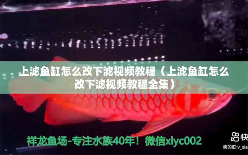 上濾魚缸怎么改下濾視頻教程（上濾魚缸怎么改下濾視頻教程全集） 委內(nèi)瑞拉奧里諾三間魚苗