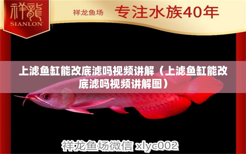 上濾魚缸能改底濾嗎視頻講解（上濾魚缸能改底濾嗎視頻講解圖）