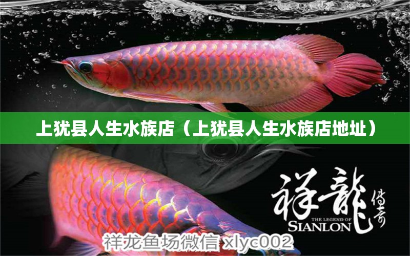 上猶縣人生水族店（上猶縣人生水族店地址） 全國(guó)水族館企業(yè)名錄