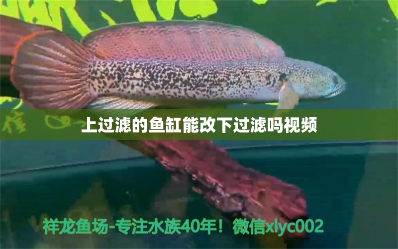 上過濾的魚缸能改下過濾嗎視頻 祥龍魚場