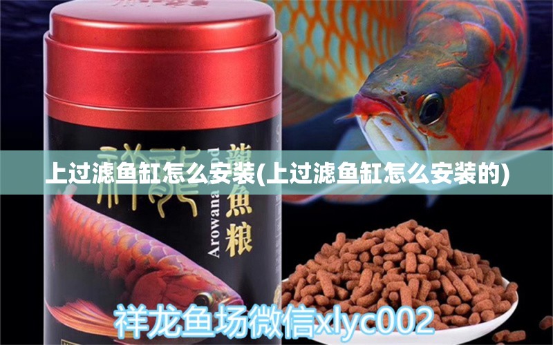 上過(guò)濾魚(yú)缸怎么安裝(上過(guò)濾魚(yú)缸怎么安裝的) 鴨嘴鯊魚(yú)