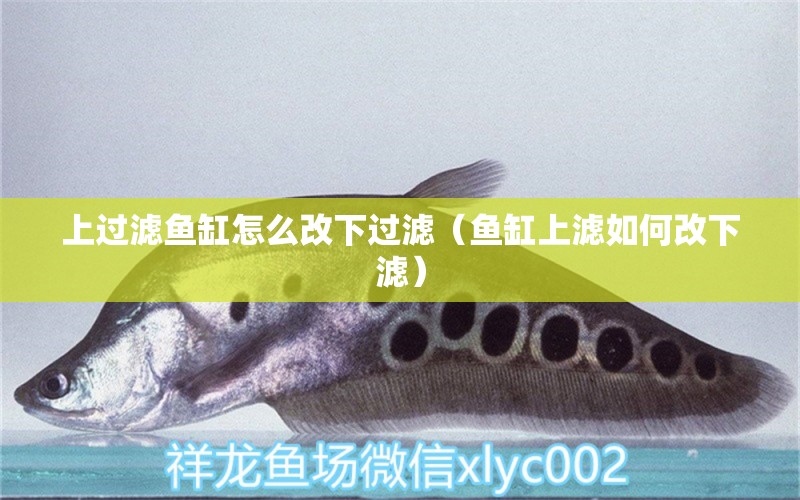 上過濾魚缸怎么改下過濾（魚缸上濾如何改下濾） 森森魚缸