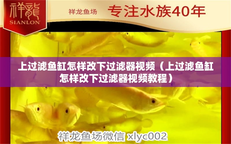 上過濾魚缸怎樣改下過濾器視頻（上過濾魚缸怎樣改下過濾器視頻教程） 綠皮皇冠豹魚