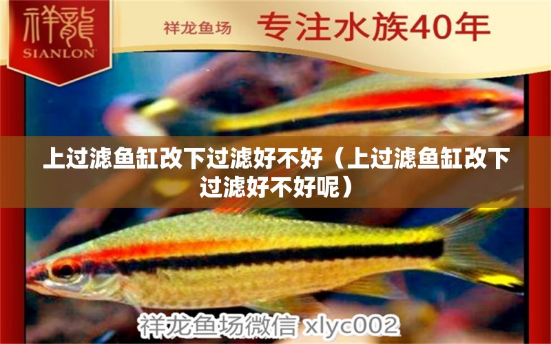 上過濾魚缸改下過濾好不好（上過濾魚缸改下過濾好不好呢） 祥龍水族醫(yī)院