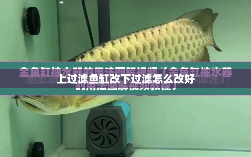 上過(guò)濾魚缸改下過(guò)濾怎么改好 水族問(wèn)答 第2張