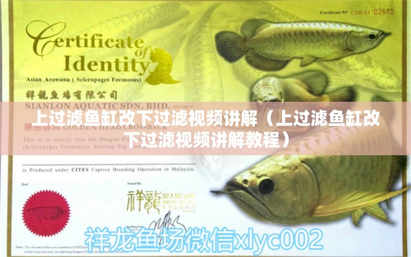 上過濾魚缸改下過濾視頻講解（上過濾魚缸改下過濾視頻講解教程）