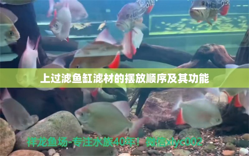 上過(guò)濾魚(yú)缸濾材的擺放順序及其功能 小型觀賞魚(yú)