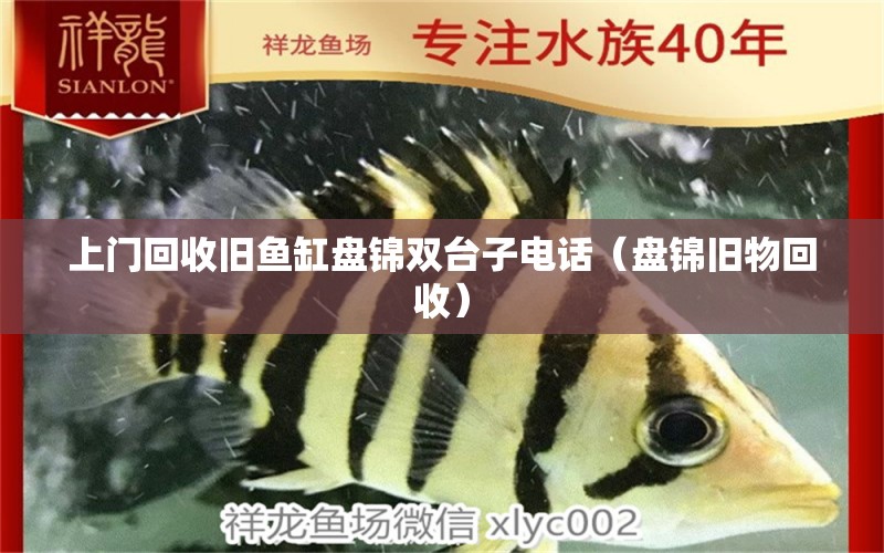 上門回收舊魚缸盤錦雙臺(tái)子電話（盤錦舊物回收） 祥龍水族醫(yī)院