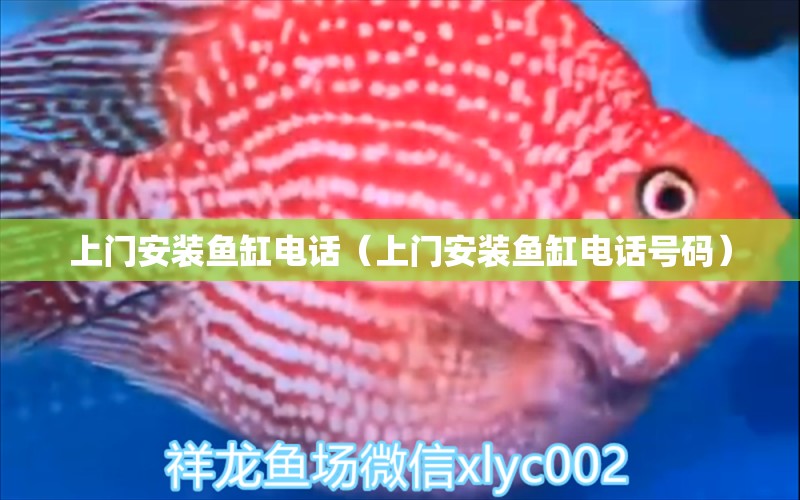 上門安裝魚缸電話（上門安裝魚缸電話號碼） 其他品牌魚缸