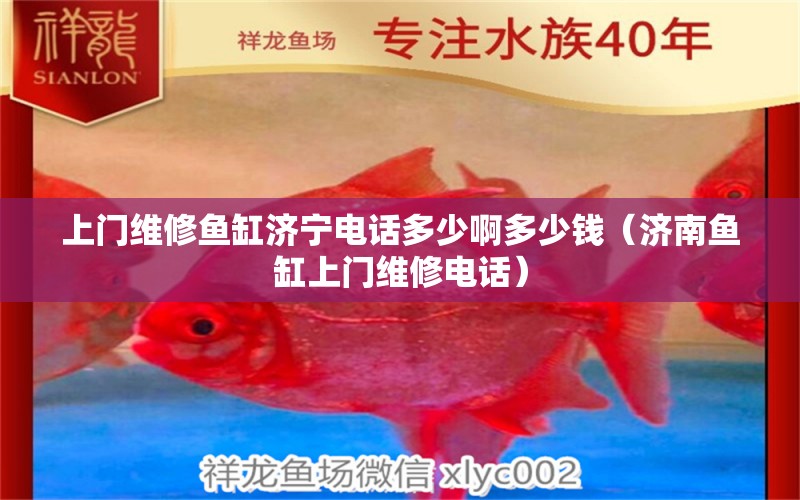 上門維修魚缸濟(jì)寧電話多少啊多少錢（濟(jì)南魚缸上門維修電話）