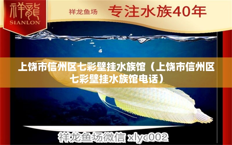 上饒市信州區(qū)七彩壁掛水族館（上饒市信州區(qū)七彩壁掛水族館電話）