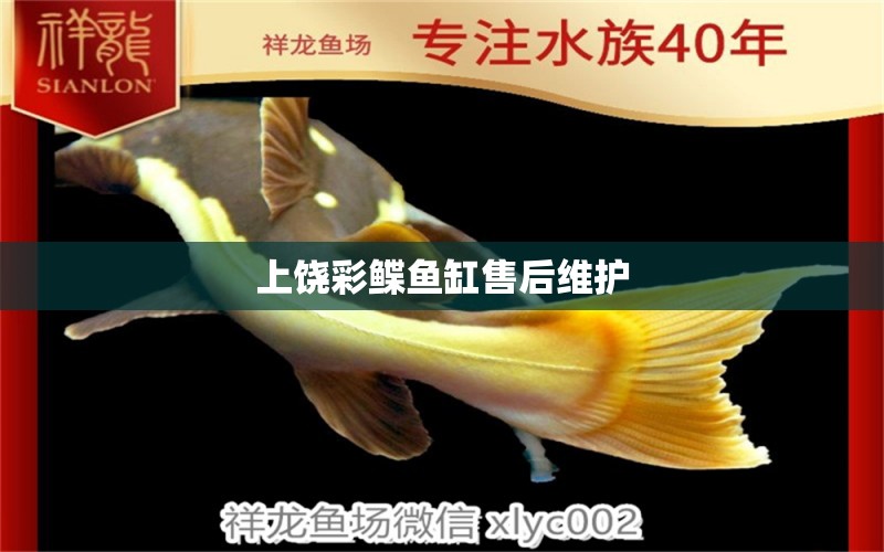 上饒彩鰈魚缸售后維護 彩鰈魚缸（彩蝶魚缸）