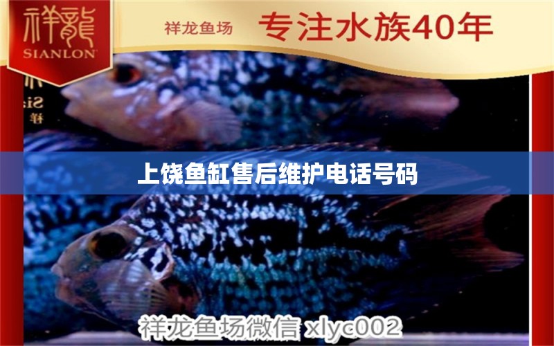 上饒魚缸售后維護(hù)電話號(hào)碼 其他品牌魚缸