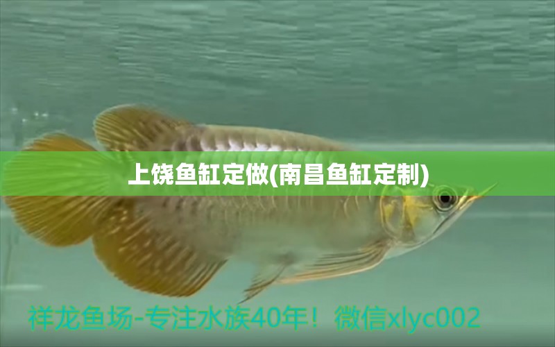 上饒魚缸定做(南昌魚缸定制) 檸檬鯽