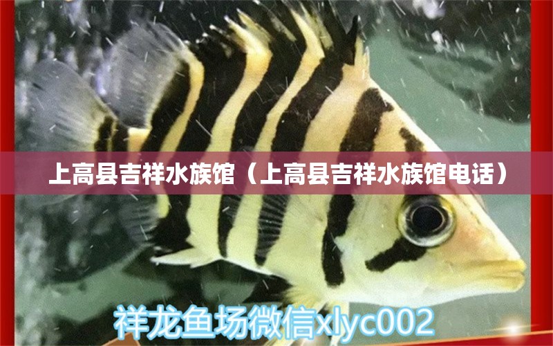 上高縣吉祥水族館（上高縣吉祥水族館電話）