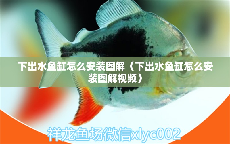 下出水魚(yú)缸怎么安裝圖解（下出水魚(yú)缸怎么安裝圖解視頻）