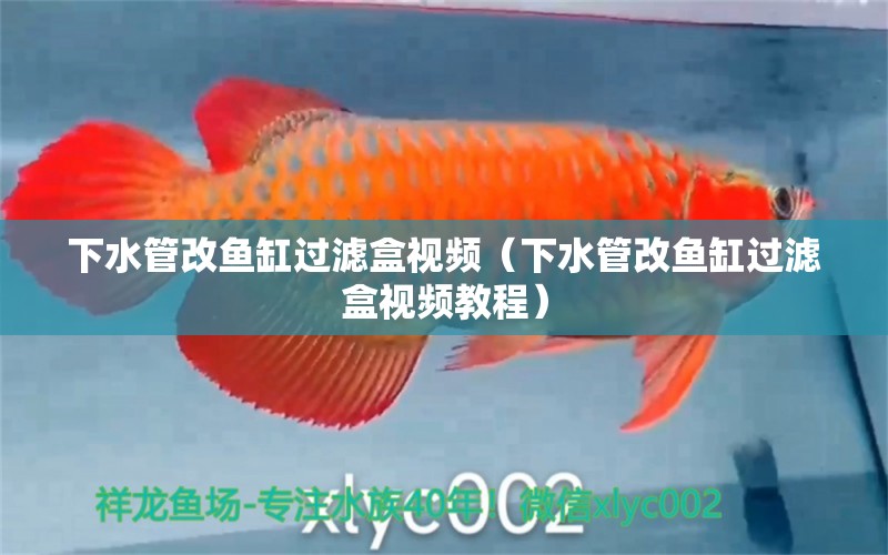 下水管改魚缸過濾盒視頻（下水管改魚缸過濾盒視頻教程） 量子養(yǎng)魚技術(shù)