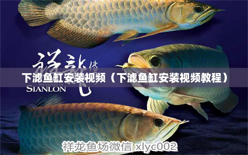 下濾魚缸安裝視頻（下濾魚缸安裝視頻教程） 祥龍水族醫(yī)院