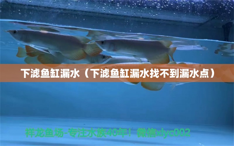 下濾魚缸漏水（下濾魚缸漏水找不到漏水點(diǎn)）