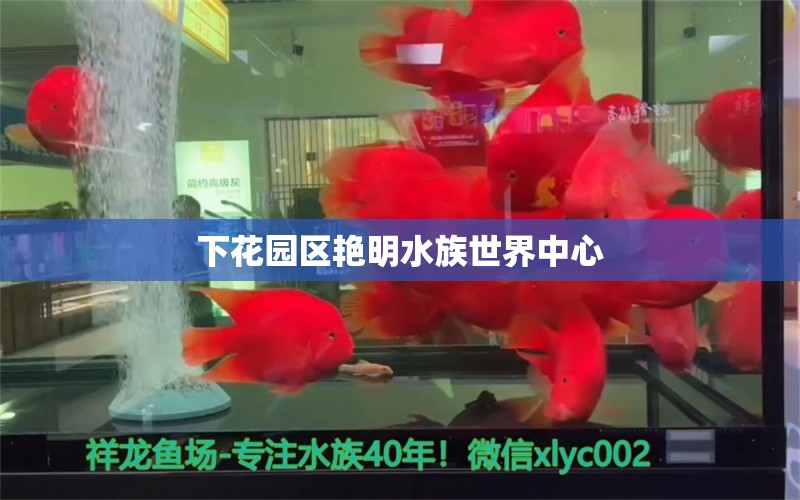 下花園區(qū)艷明水族世界中心 全國水族館企業(yè)名錄