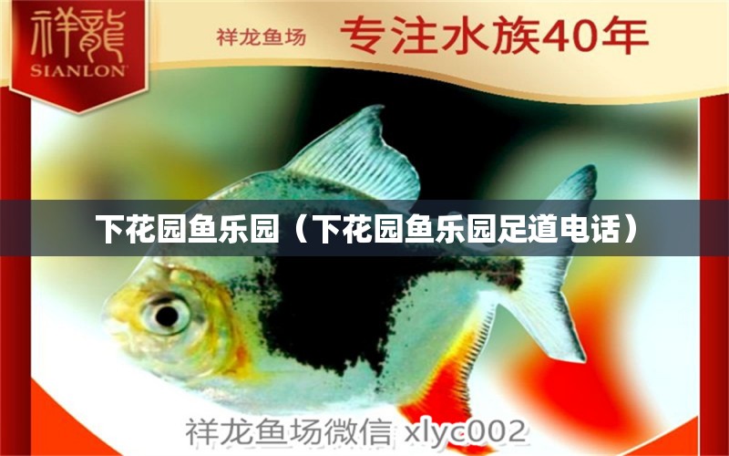 下花園魚樂園（下花園魚樂園足道電話） 全國水族館企業(yè)名錄