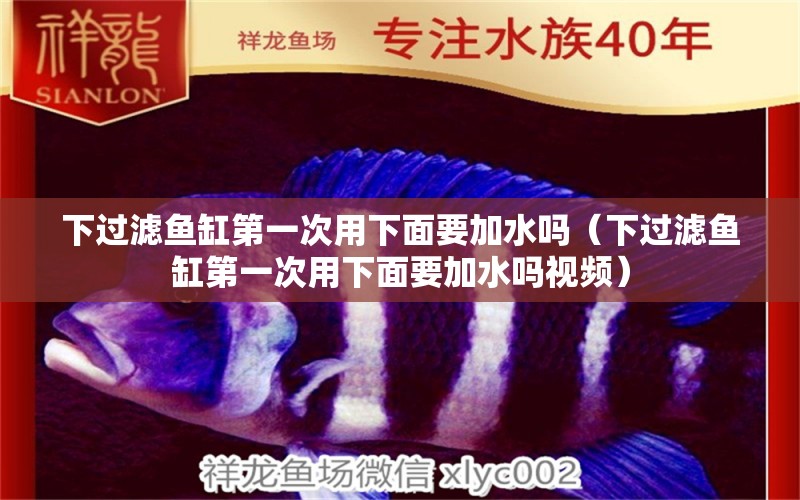 下過濾魚缸第一次用下面要加水嗎（下過濾魚缸第一次用下面要加水嗎視頻） 其他品牌魚缸