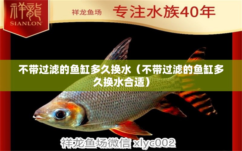 不帶過濾的魚缸多久換水（不帶過濾的魚缸多久換水合適）