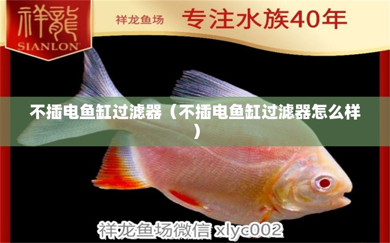 不插電魚(yú)缸過(guò)濾器（不插電魚(yú)缸過(guò)濾器怎么樣） 觀(guān)賞魚(yú)市場(chǎng)（混養(yǎng)魚(yú)）