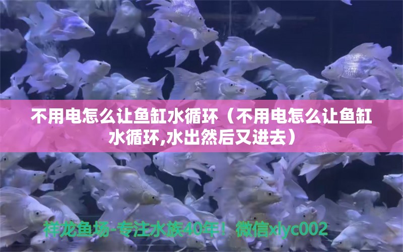 不用電怎么讓魚缸水循環(huán)（不用電怎么讓魚缸水循環(huán),水出然后又進(jìn)去）