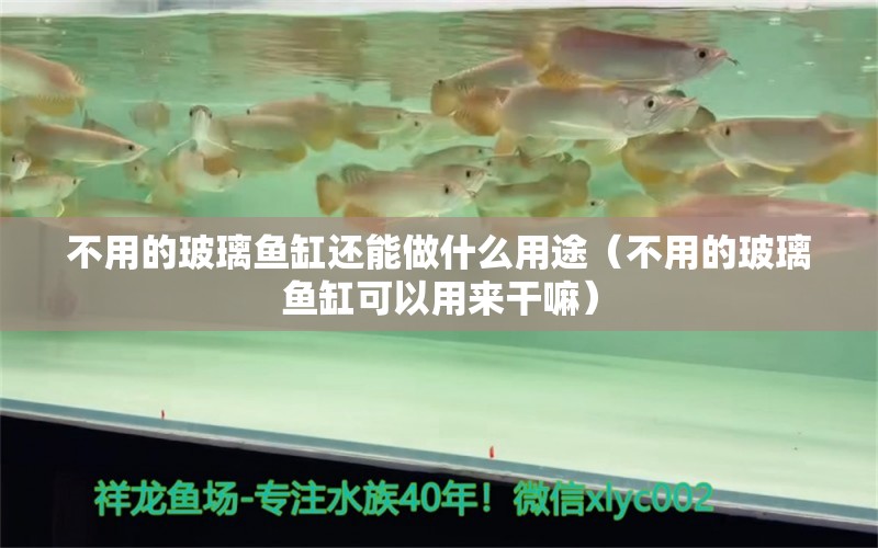 不用的玻璃魚缸還能做什么用途（不用的玻璃魚缸可以用來干嘛） 祥龍龍魚魚糧