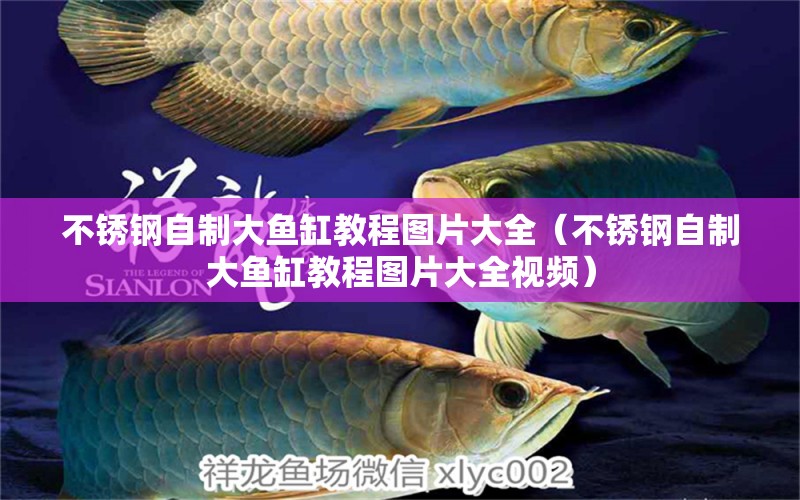 不銹鋼自制大魚缸教程圖片大全（不銹鋼自制大魚缸教程圖片大全視頻）