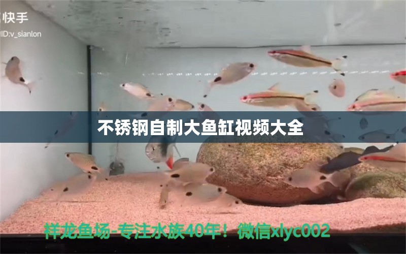 不銹鋼自制大魚(yú)缸視頻大全 