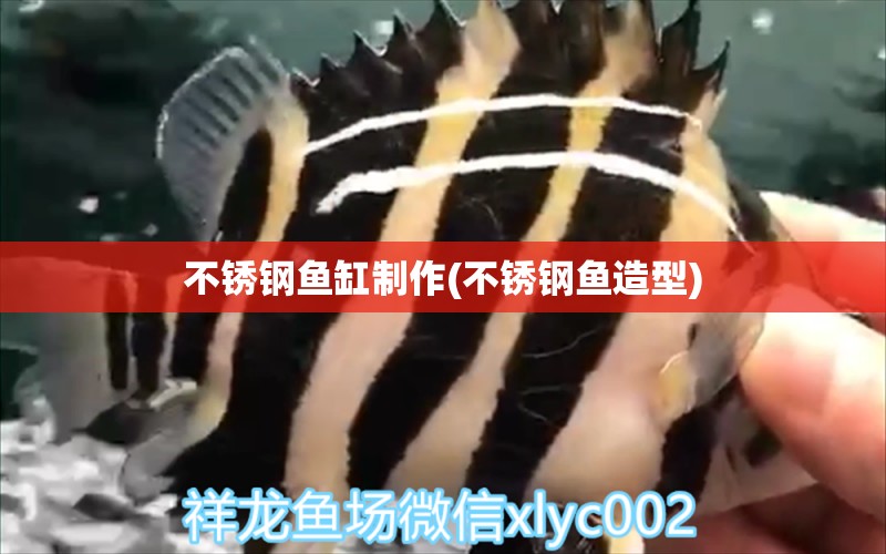 不銹鋼魚(yú)缸制作(不銹鋼魚(yú)造型) 巴西亞魚(yú)