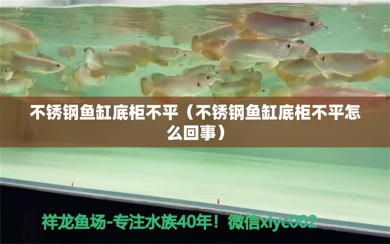 不銹鋼魚缸底柜不平（不銹鋼魚缸底柜不平怎么回事）