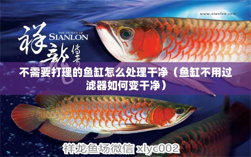 不需要打理的魚缸怎么處理干凈（魚缸不用過濾器如何變干凈） 廣州觀賞魚批發(fā)市場