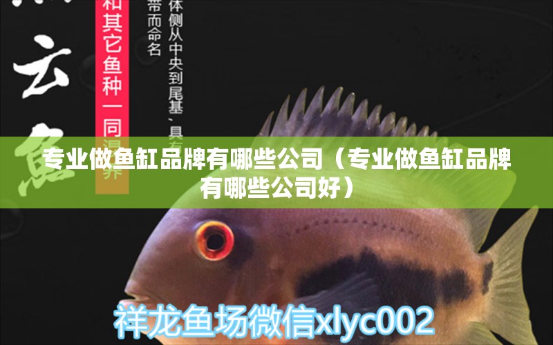 專業(yè)做魚缸品牌有哪些公司（專業(yè)做魚缸品牌有哪些公司好）