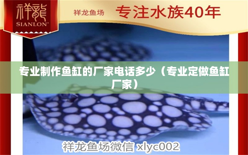 專業(yè)制作魚缸的廠家電話多少（專業(yè)定做魚缸廠家） 高背金龍魚